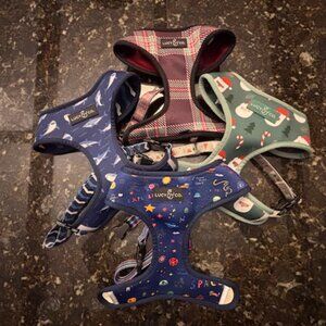 Lucy & Co. Reversable Dog Harness - Set of 4 - Size MEDIUM